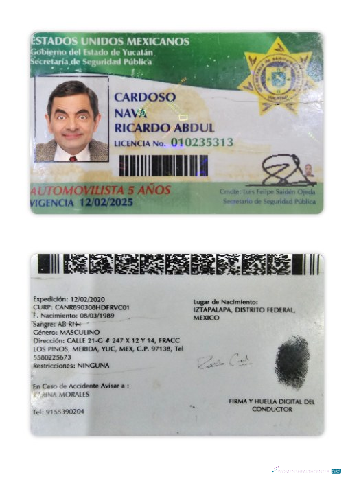 download Mexico Yucatan state driving license
